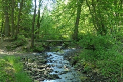 P1002322