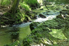 P1002323
