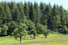 P1002327