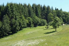 P1002328