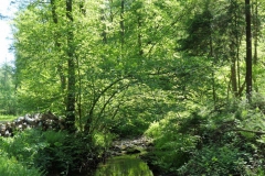 P1002331