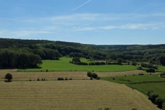 P1002333