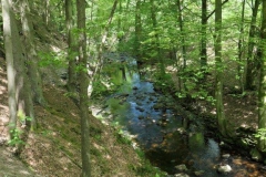 P1002346