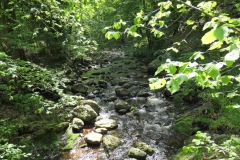 P1002347