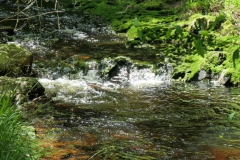 P1002348