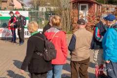 IMG_8741_GTW_Geissbockheim_20190407