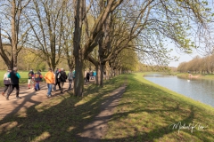 IMG_8753_GTW_Geissbockheim_20190407