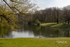 IMG_8757_GTW_Geissbockheim_20190407