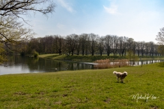 IMG_8758_GTW_Geissbockheim_20190407