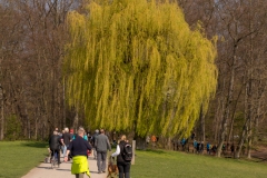 IMG_8759_GTW_Geissbockheim_20190407
