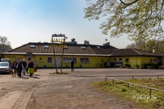 IMG_8761_GTW_Geissbockheim_20190407