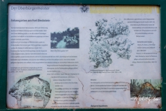 IMG_8765_GTW_Geissbockheim_20190407