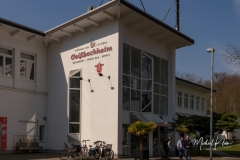 IMG_8768_GTW_Geissbockheim_20190407