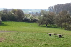 IMG-2019041_Pohlheim_BM_WA0010