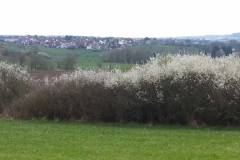 IMG-2019041_Pohlheim_BM_WA0021