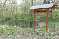 IMG-2019041_Pohlheim_BM_WA0024