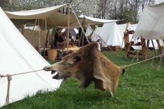 IMG-2019041_Pohlheim_BM_WA0026