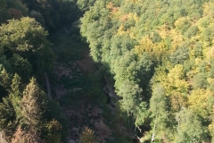 IMG-20180917-WA0006