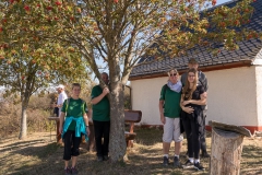 IMG_7829_Mittelstrimmig-Geierlay_20180916