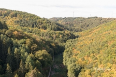 IMG_7843_Mittelstrimmig-Geierlay_20180916