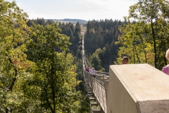 IMG_7852_Mittelstrimmig-Geierlay_20180916