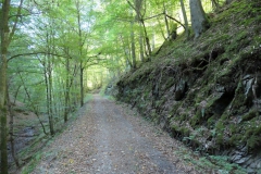 P1001061