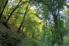 P1001062