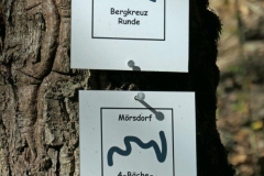 P1001069