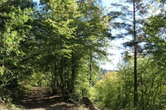P1001071