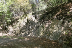 P1001072