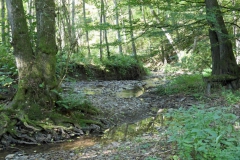 P1001077