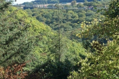 P1001081