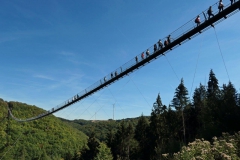 P1001083