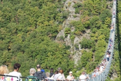 P1001119