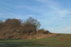 P1001528