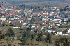 P1001536