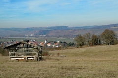 P1001546