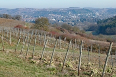 P1001547
