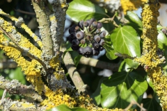 P1001568