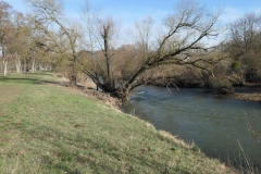 P1001584