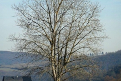 P1001589
