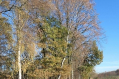 P1001369