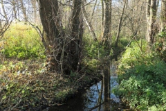 P1001371
