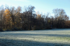 P1001372