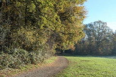 P1001374