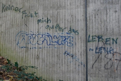P1001379