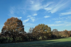 P1001383
