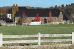 P1001385