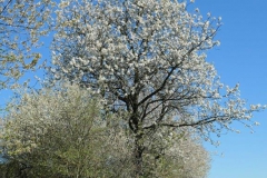P1001687