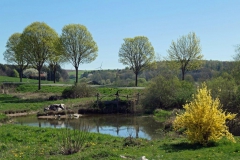 P1001690